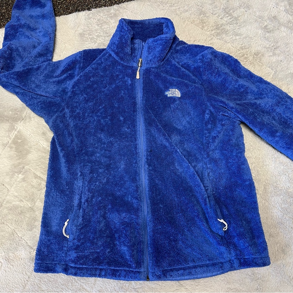 The North Face Blue Fleece Jacket